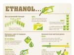 Ethanol infographic from coalition of livestock and poultry producers (crop)