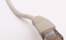 Ethernet cable. Image: Wikipedia user David Monniaux