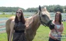 For sale, low miles, one horsepower.