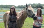 The Coming Carpocalypse: Florida Dealer Accepts Horse Trade-In
