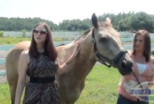 The Coming Carpocalypse: Florida Dealer Accepts Horse Trade-In