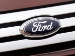 Ford Flex grille