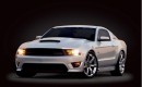 2011 Saleen S302