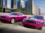 Furious Fuscia Challenger