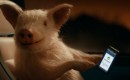 GEICO mascot Maxwell the Pig