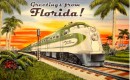Greetings from Florida