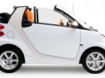 Hermes Smart ForTwo