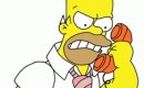 Homer on the phone