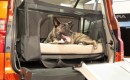 Honda Dog Friendly Element