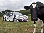 Honda Civic Cow