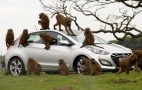 Hyundai Uses Dozens Of Monkeys To Test Durability