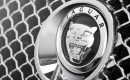 Jaguar Logo