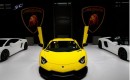 Lamborghini Aventador LP 720-4 50° Anniversario