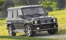 2010 Mercedes-Benz G-Class
