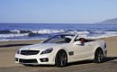 2010 Mercedes-Benz SL-Class
