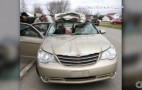 Driver Totals Car By Hitting Moose, Makes Work On Time: Video