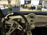 Former Democratic Chair Delves into EVs, Brings NEV to U.S.