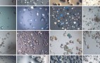 New foam captures CO2 inside the tailpipe