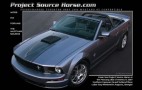 Brad's Project Source Horse Gets New Revamped Site