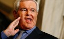 Newt Gingrich