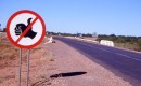 No hitchhiking