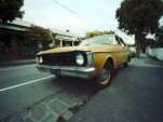 Trees For Trade-Ins Programs Junk Gas Guzzlers, Plant Trees