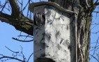 Chevy Volt: Battery Pack Housing Today, Owl's Nest Tomorrow? 