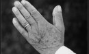 Praying hands. Image: Jan Smith