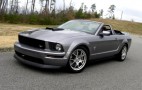 'Project Source Horse' Up for Auction on Ebay