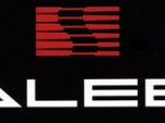 saleen_logo2.jpg