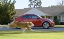  Screencap from The Dog Strikes Back Super Bowl XLVI ad