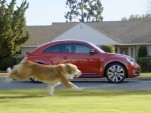  Screencap from The Dog Strikes Back Super Bowl XLVI ad