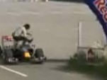 Scuderia Toro Rosso driver Sebastian Buemi crashing into crazed fan