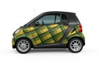 Smart Fortwo Says: 'OMG YOU GUYS I'M IN A PIC WITH GOLDIE HAWN II'
