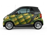 Smart Expressions vinyl-wrap option - plaid pattern