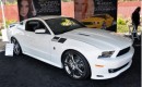 SMS Supercars Label Mustangs