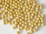 Ford Develops Renewable Soy-Based Rubber