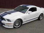 stangnet_gt500_1_main.jpg