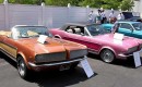 sunny_cher_mustang_blog.jpg