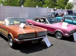 sunny_cher_mustang_blog.jpg