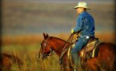 Texas cowboy by Flickr user aechempati