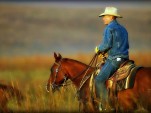 Texas cowboy by Flickr user aechempati