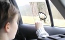 Toyota's Window to the World