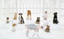 Volkswagen's "The Bark Side" Super Bowl ad