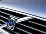Volvo grille