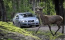Volvo animal detection safety development