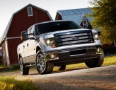 2014 Ford F-150 image