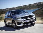 2015 BMW X5 image