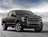 2016 Ford F-150 image