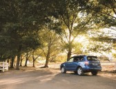 2016 Subaru Forester image